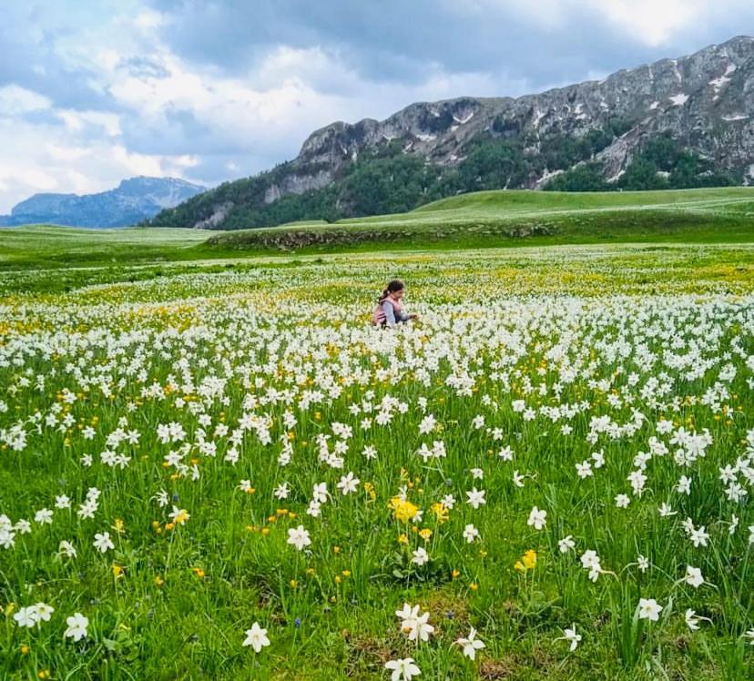 Kapetanovo Jezero Bungalov Panzió Podgorica Kültér fotó