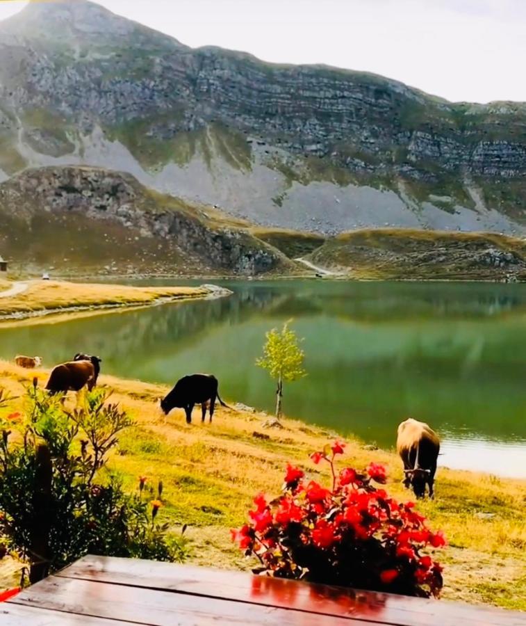 Kapetanovo Jezero Bungalov Panzió Podgorica Kültér fotó